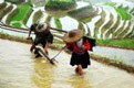 guilin